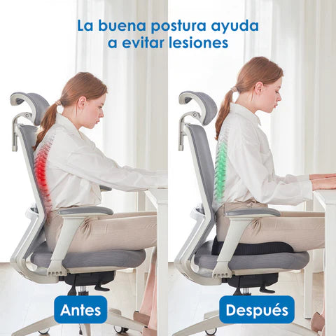 Cojín Asiento Ortopédico + Envió gratis